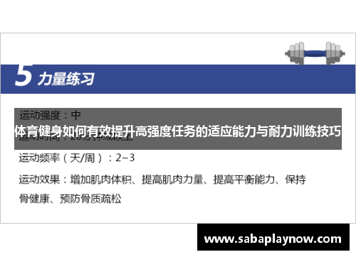 体育健身如何有效提升高强度任务的适应能力与耐力训练技巧