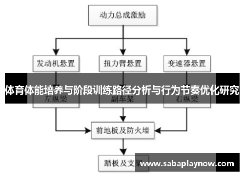 体育体能培养与阶段训练路径分析与行为节奏优化研究